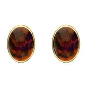 9ct Yellow Gold Amber 8 x 10mm Classic Large Oval Stud Earrings