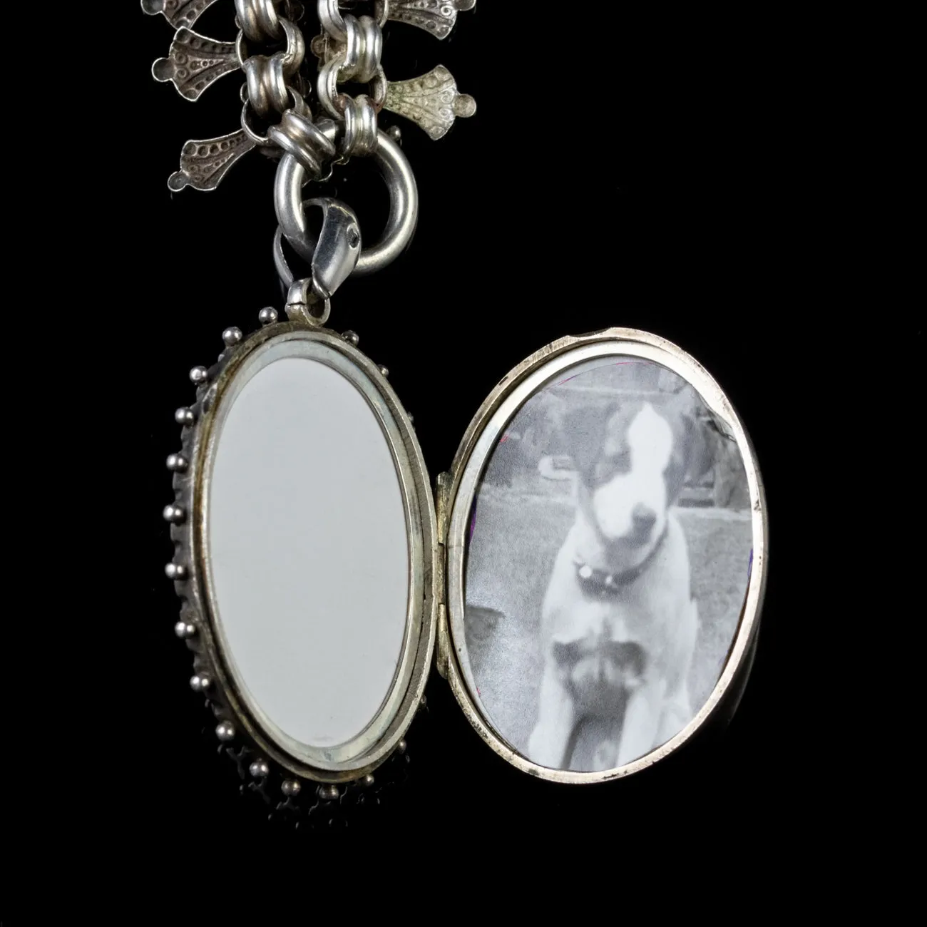 Antique Victorian Forget Me Not Collar Locket 18Ct Gold Silver Dated 1881