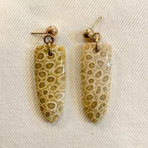 Crystal Creek Gems: Yellow Coral Earrings