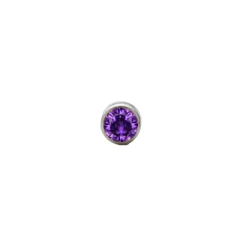 February Amethyst Charm