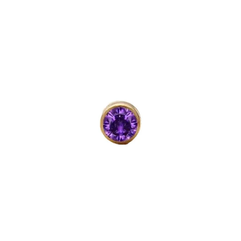 February Amethyst Charm