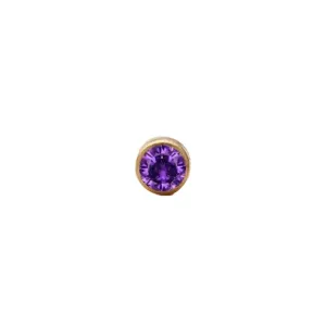 February Amethyst Charm