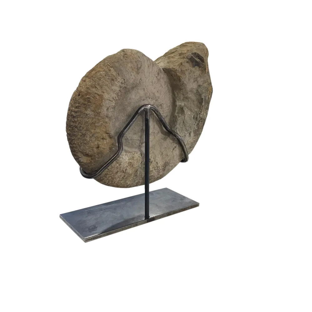 Moroccan Ammonite Fossil On Custom Iron Base