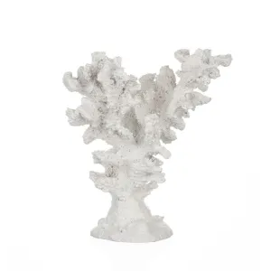 Shoeless Joe 19cm White Large Resin Coral Ornament